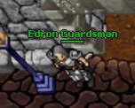 Plik:Edron Guardsman.png