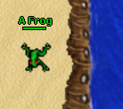 Frog.png