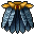 Calopteryx Cape.gif