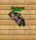 Zerbrus.jpg