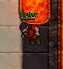 Pydar.gif