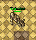 Tothdral.jpg