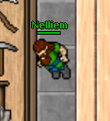 Nelliem.jpg