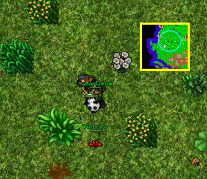 The Explorer Society Quest - Tibia Wiki