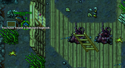 The Explorer Society Quest - Tibia Wiki