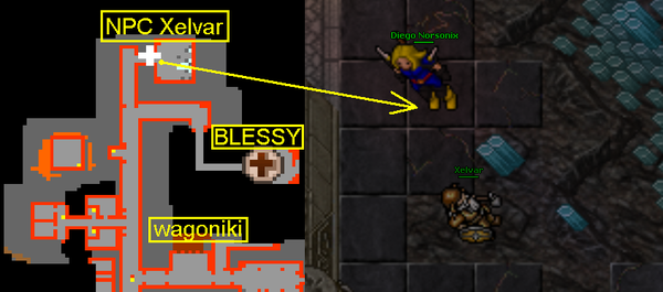 Looking for Gnomerik - NPC Xelvar.PNG