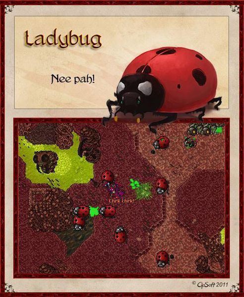 Plik:Ladybug.jpg