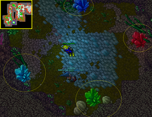 Bigfoot's Burden Quest/Spoiler – Tibia Wiki