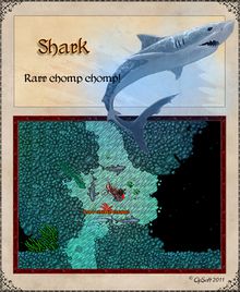 Shark.jpg