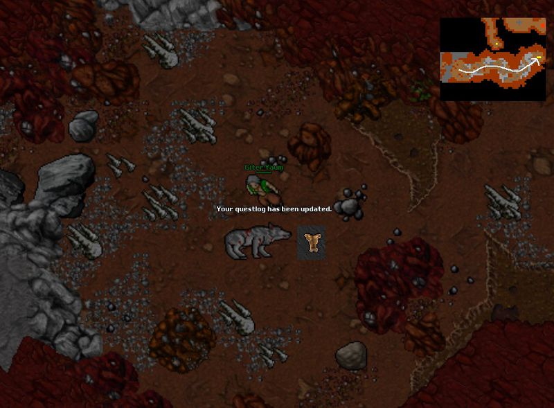 Plik:Rookie skorka.jpg