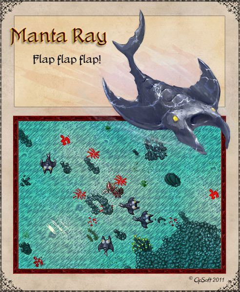 Plik:Manta ray.jpg