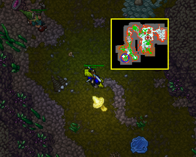 Tibia Warzone 1 Bigfoot's Burden Quest Deathstrike 