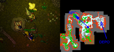 Bigfoot's Burden Quest/Spoiler – Tibia Wiki