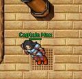 Miniatura wersji z 02:13, 11 lis 2016