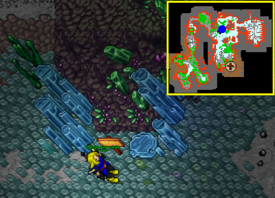 Bigfoot's Burden Quest/Spoiler – Tibia Wiki