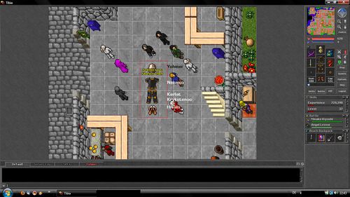 Silvester 2009 tibia.jpg