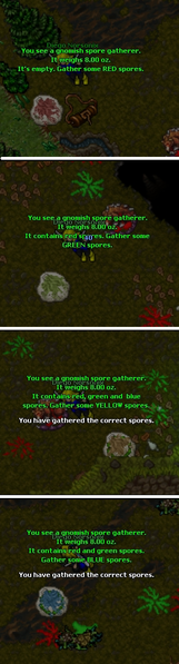 Plik:Kolory grzybkow.PNG